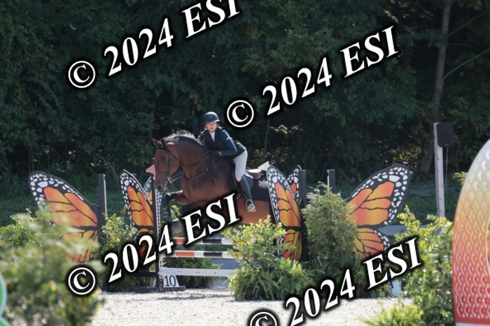 206SC1_3184