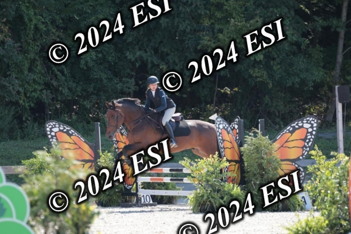 206SC1_3186