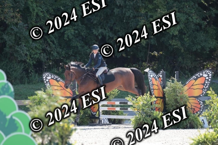 206SC1_3188