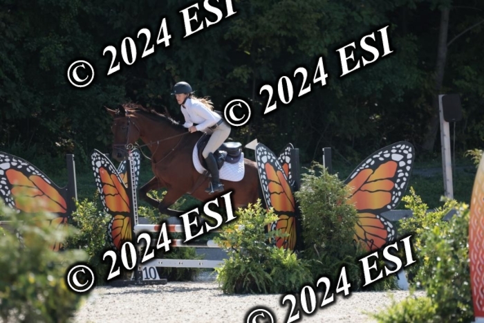 206SC1_3239