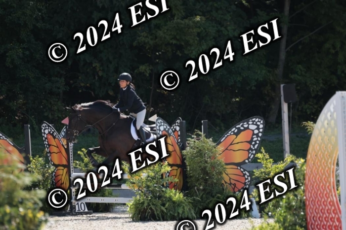 206SC1_3258