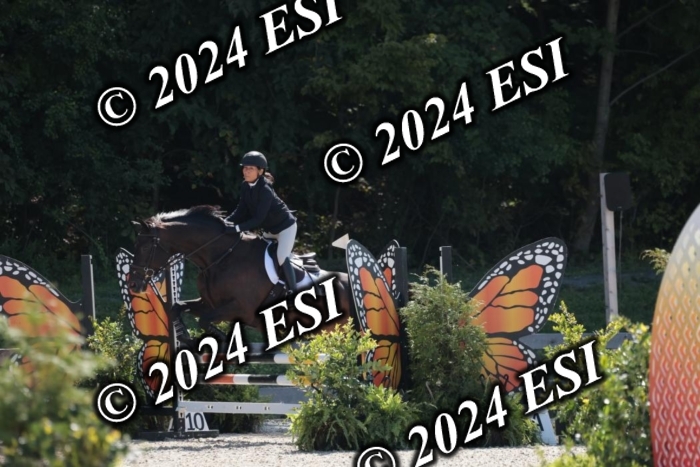 206SC1_3259