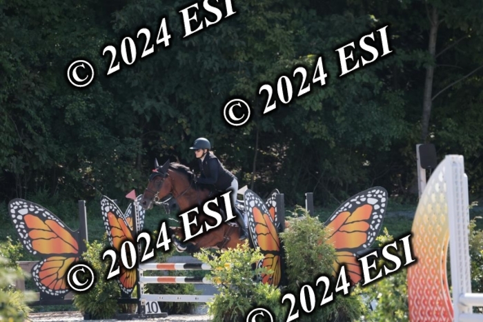 206SC1_3292