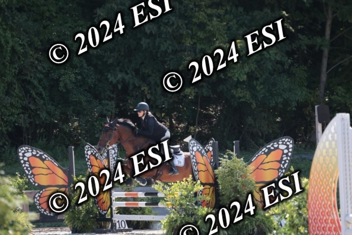 206SC1_3293