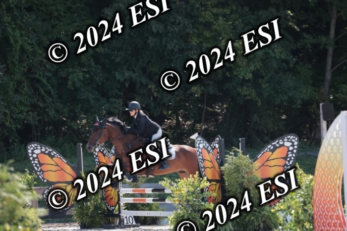 206SC1_3294