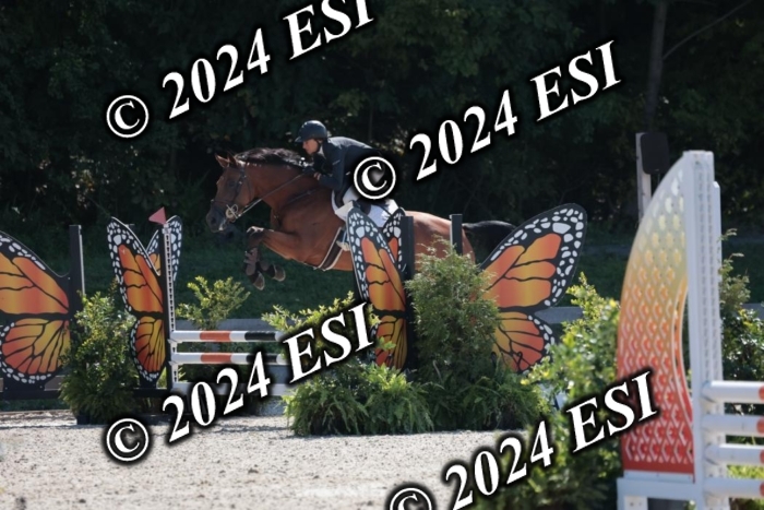 206SC1_3328