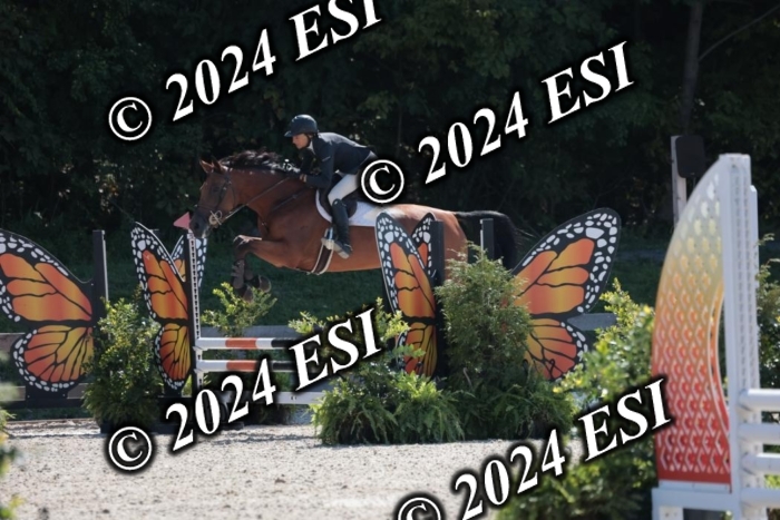 206SC1_3329