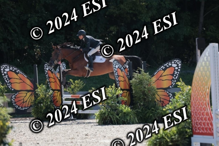 206SC1_3330