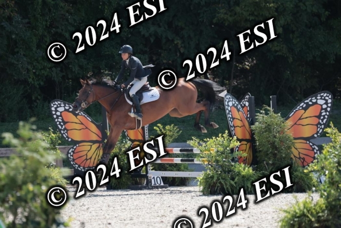 206SC1_3333