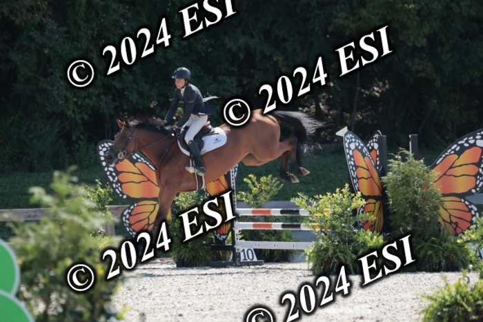 206SC1_3334