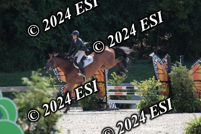 206SC1_3335