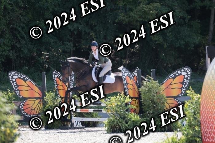 206SC1_3351