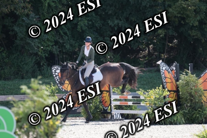 206SC1_3356