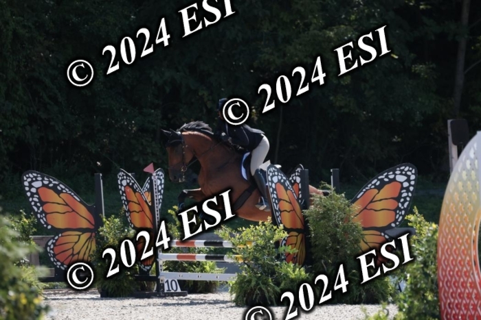 206SC1_3431