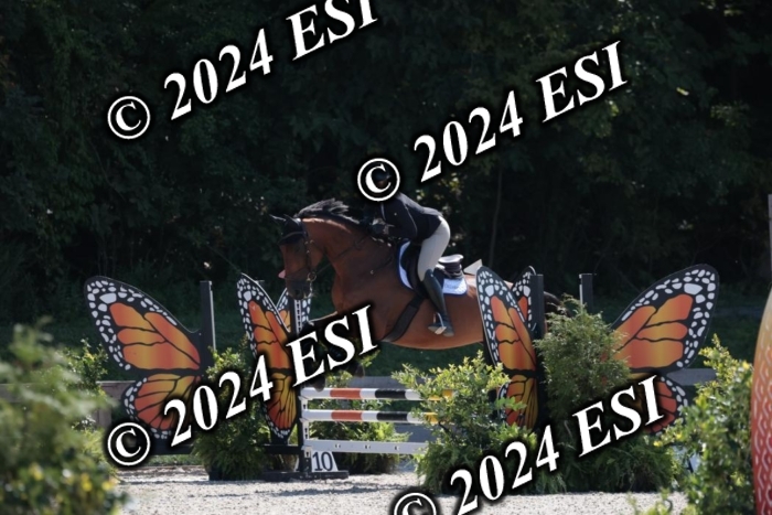 206SC1_3432