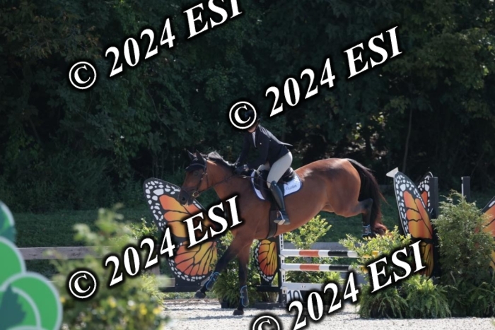 206SC1_3436