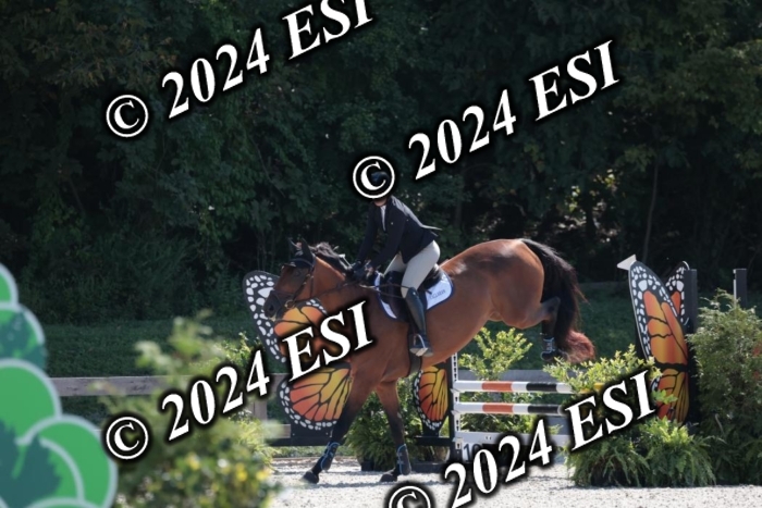 206SC1_3437