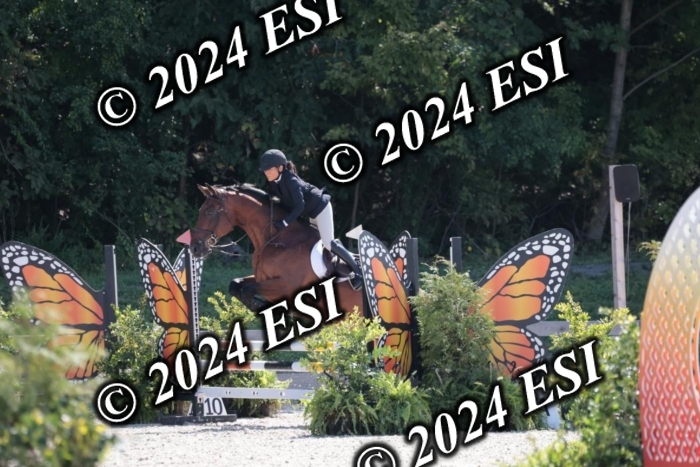 206SC1_3456