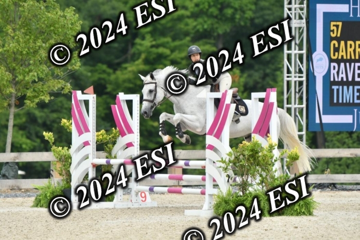 205_KK4_4382