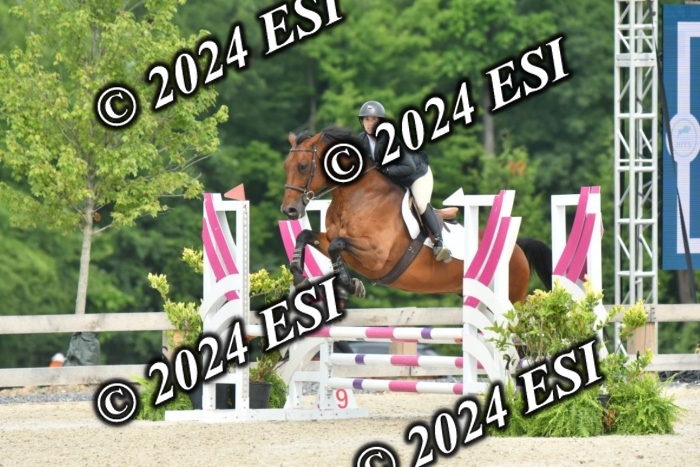 205_KK4_4417