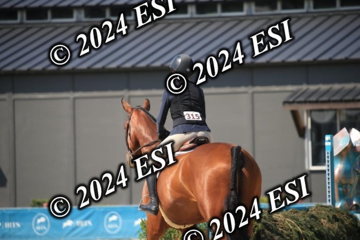 631IMGL7604