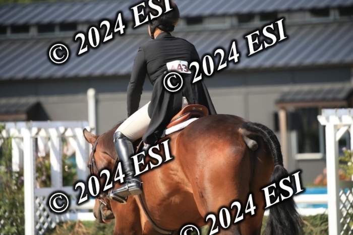 631IMGL7613