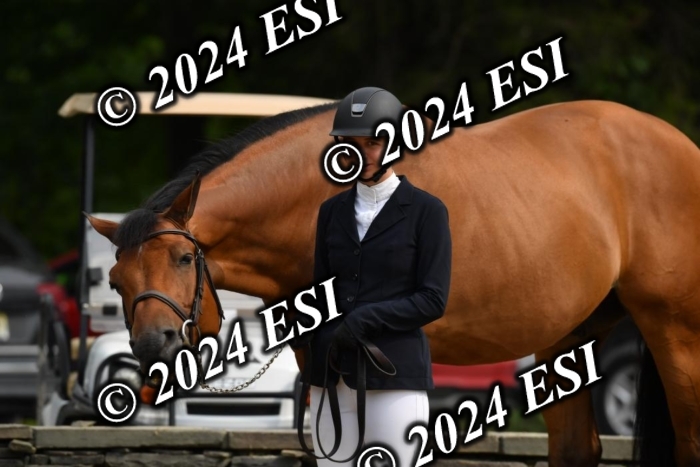 333CAH_7246