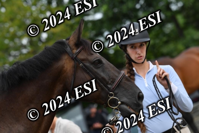 333CAH_7308