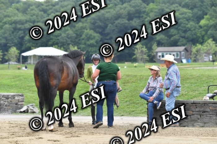 333CAH_7654