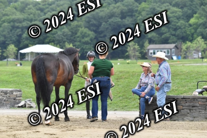 333CAH_7655
