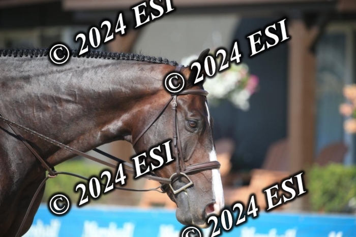 888631IMGL7653