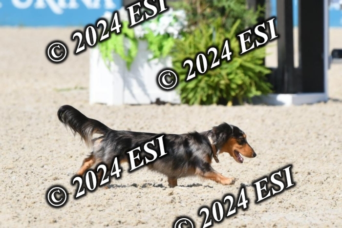 888723DK1_3354
