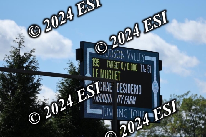 420DI2_3950