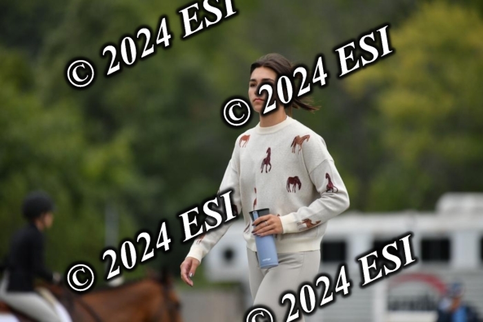 888630DK1_3984
