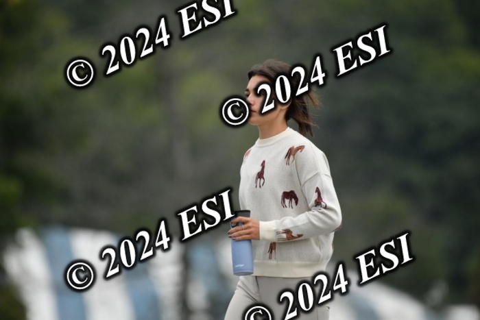 888630DK1_3985