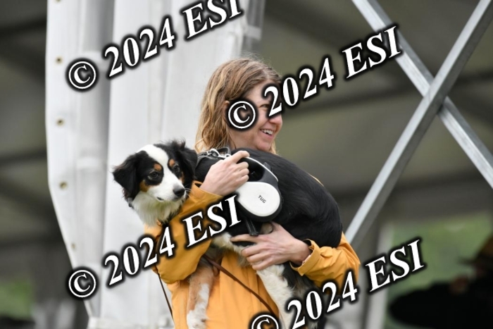 888631DK1_4077