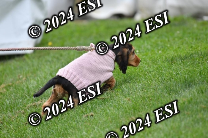 888631DK1_4149