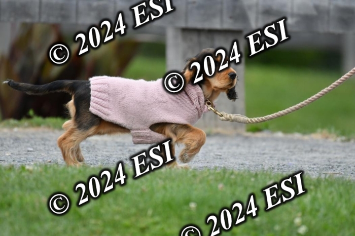 888631DK1_4164