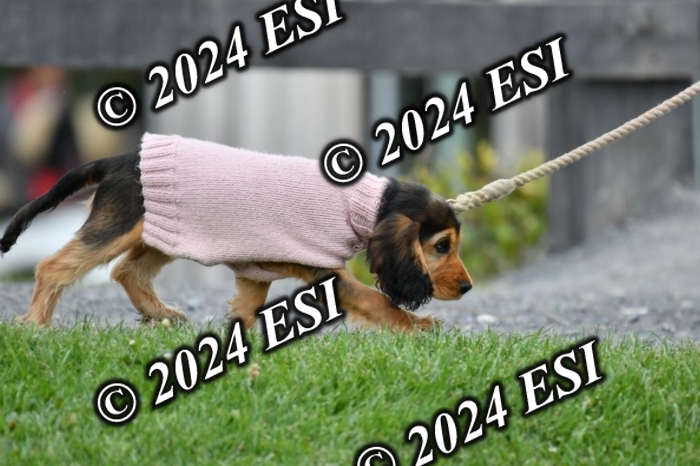 888631DK1_4166