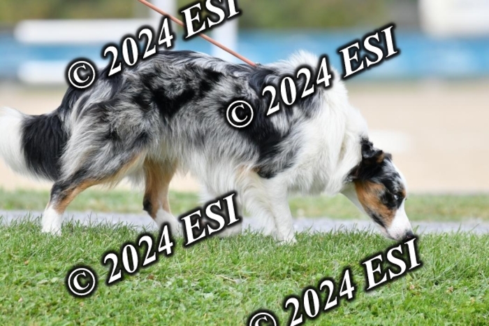 888632DK1_4300
