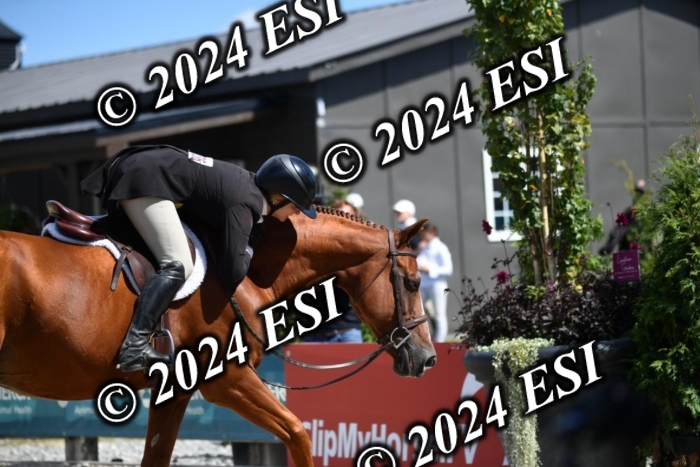 888635CAH_6778