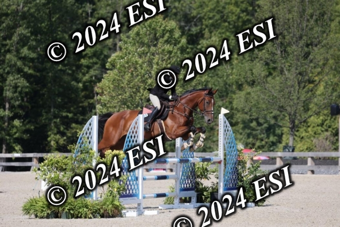1270H8A6098