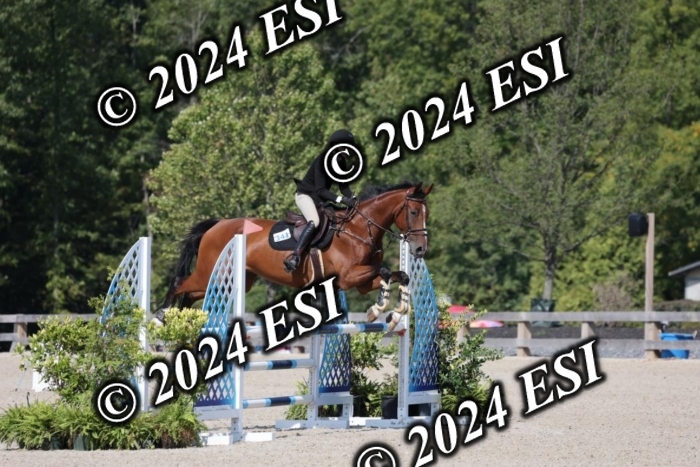 1270H8A6099