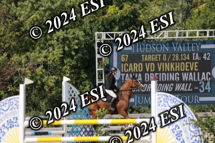 1270H8A6119