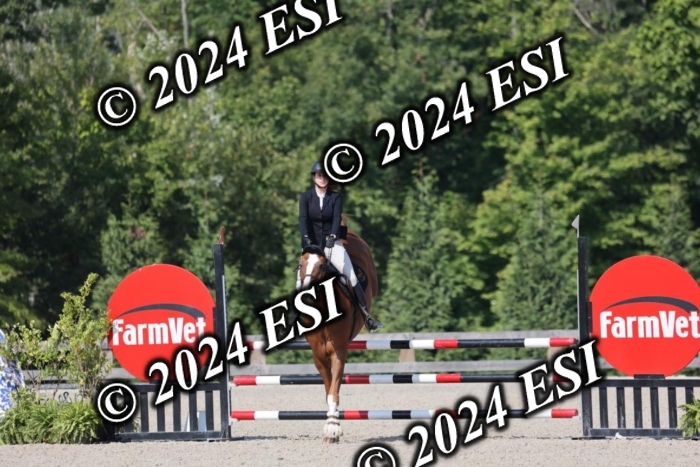 1270H8A6131