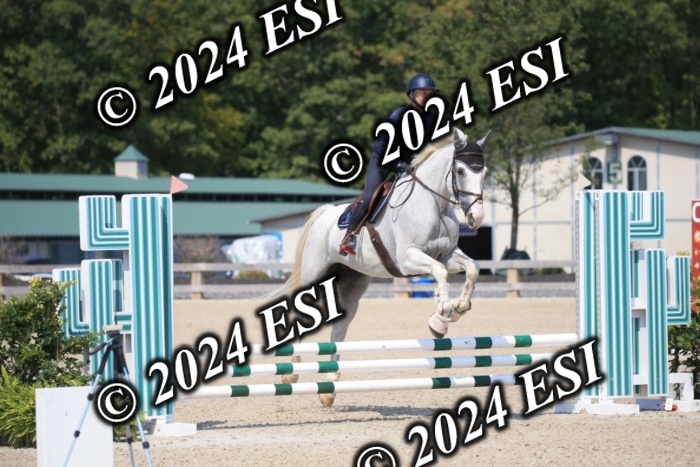 246IMGL2070