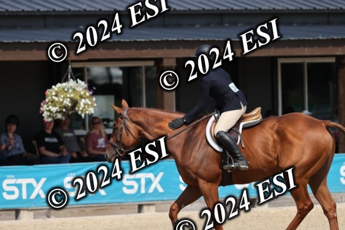 888206DI3_3563