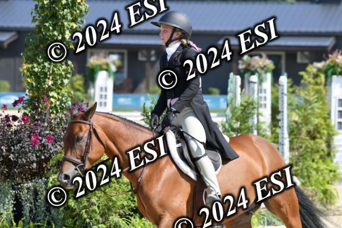 048DK1_9401