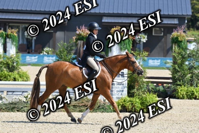 048DK1_9410
