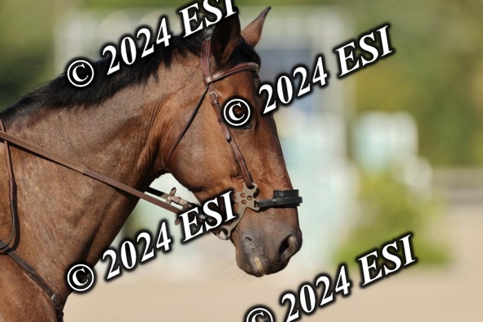 888412DI3_4523